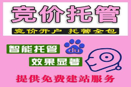 案例剖析：SEM代运营服务公司的优势与挑战